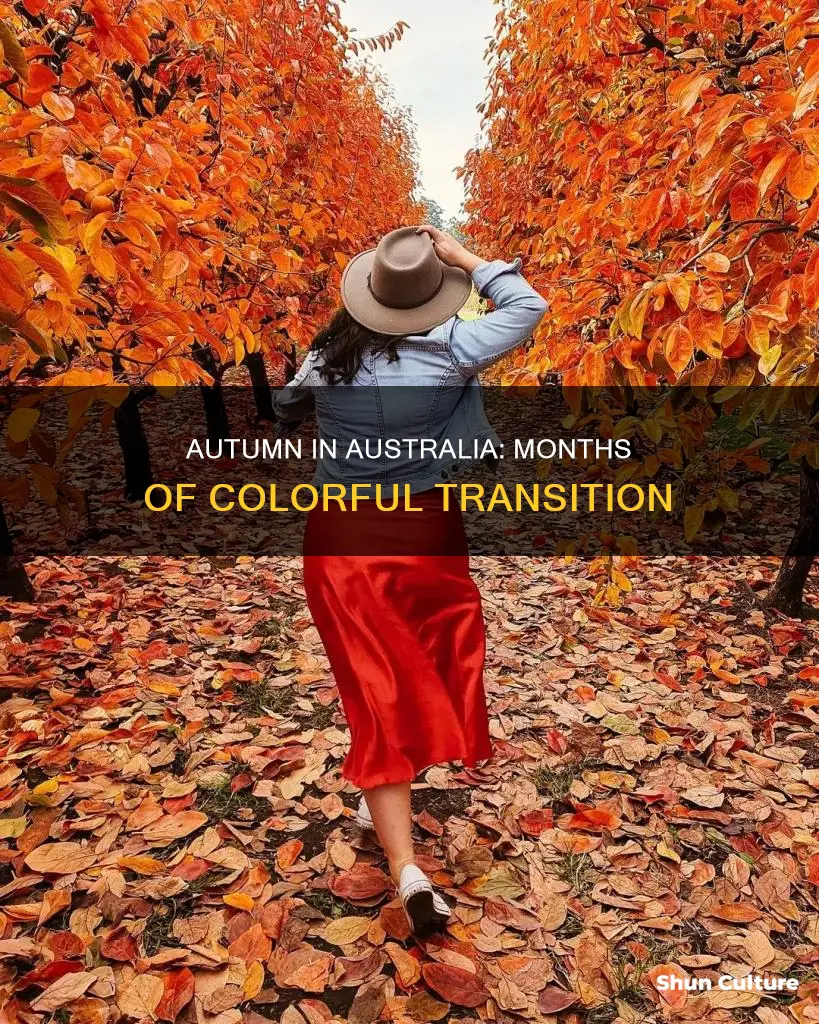 what months make up autumn in australia