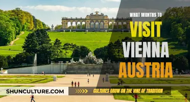 Uncover Vienna's Charms: Best Months to Visit