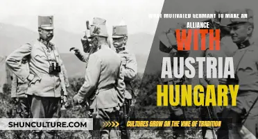 The Alliance: Germany's Strategic Move with Austria-Hungary