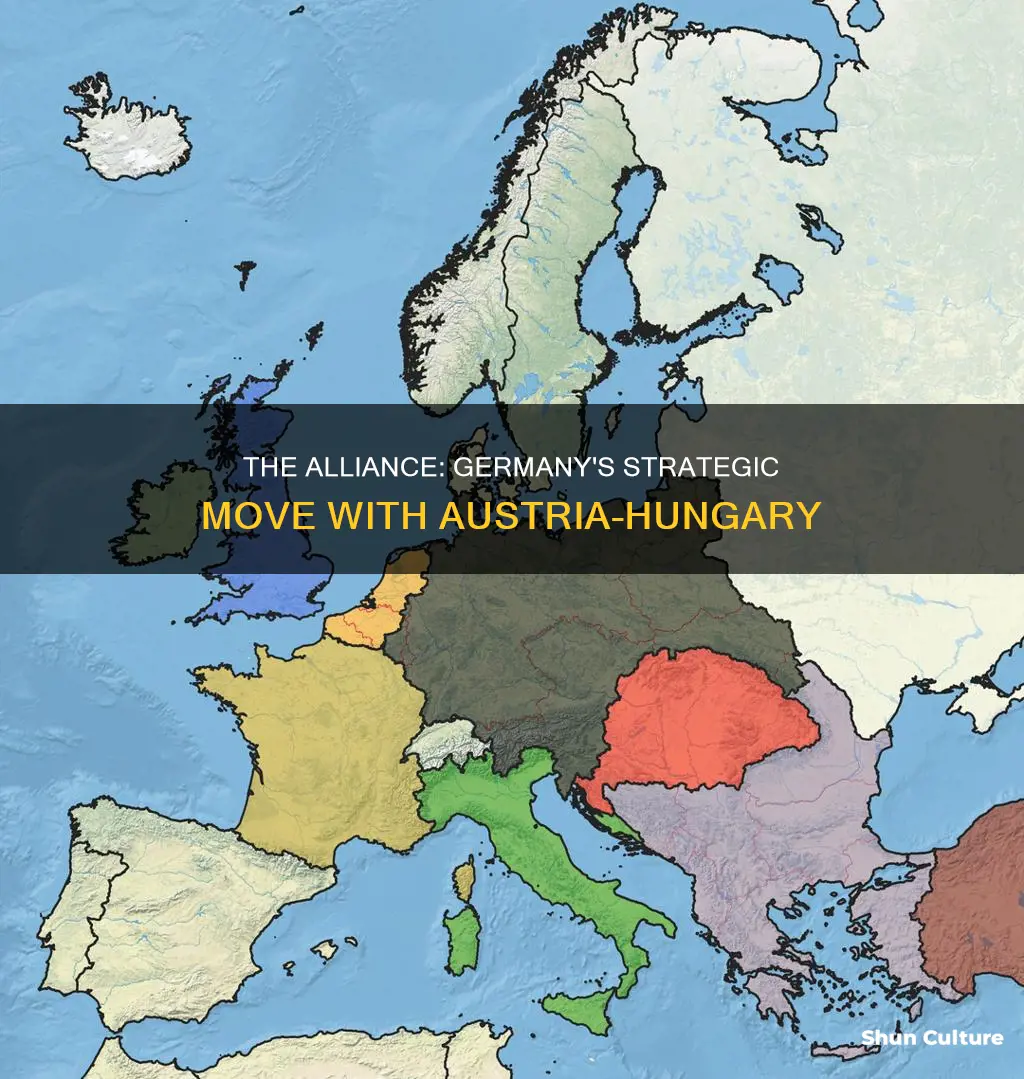 what motivated germany to make an alliance with austria hungary