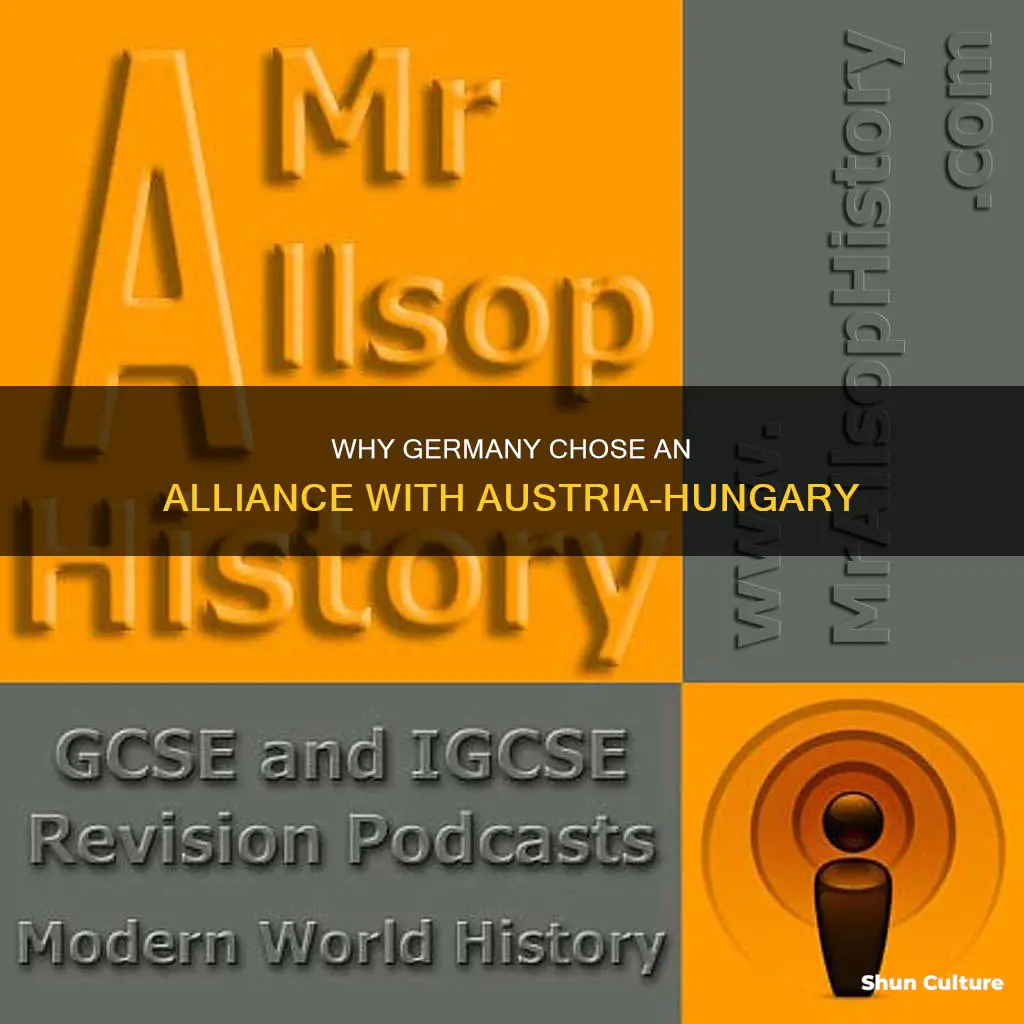 what motivated germany to make an alliance with austria hungary