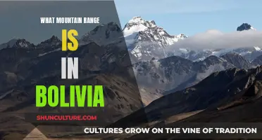 Exploring Bolivia's Mountainous Heart: The Andes Range