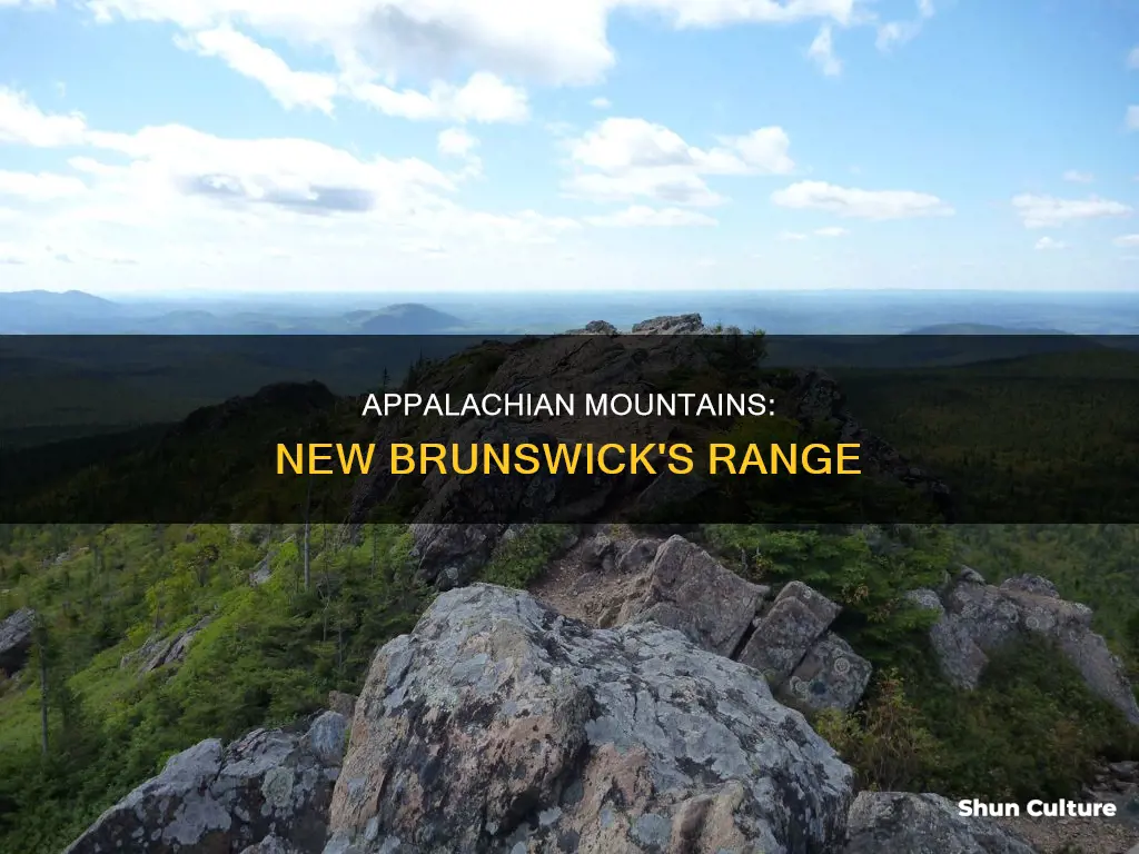 what mountain range is in new brunswick