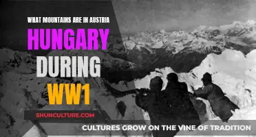 Austria-Hungary's Mountainous Battlefields: A WW1 Perspective