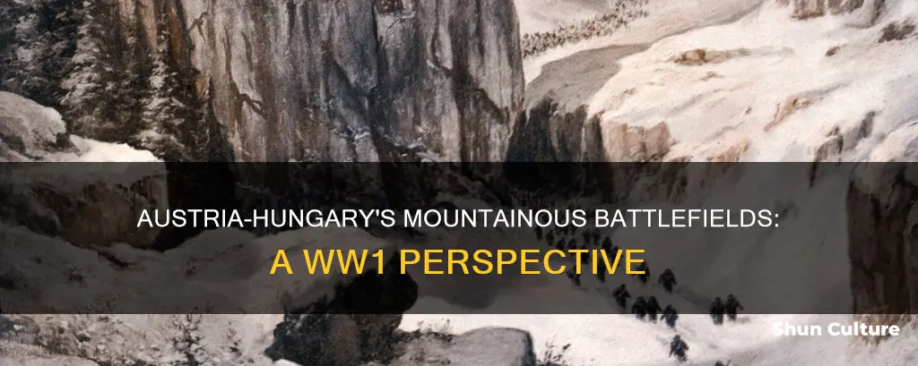 what mountains are in austria hungary during ww1