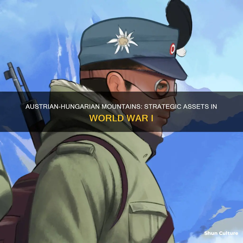 what mountains are in austria hungary during ww1