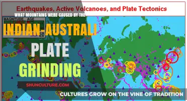 Indian-Australian Plate Collision: Forging Mountainous Terrains
