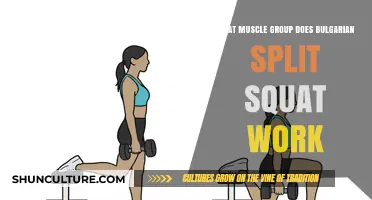 Unleashing Lower Body Strength: The Power of Bulgarian Split Squats