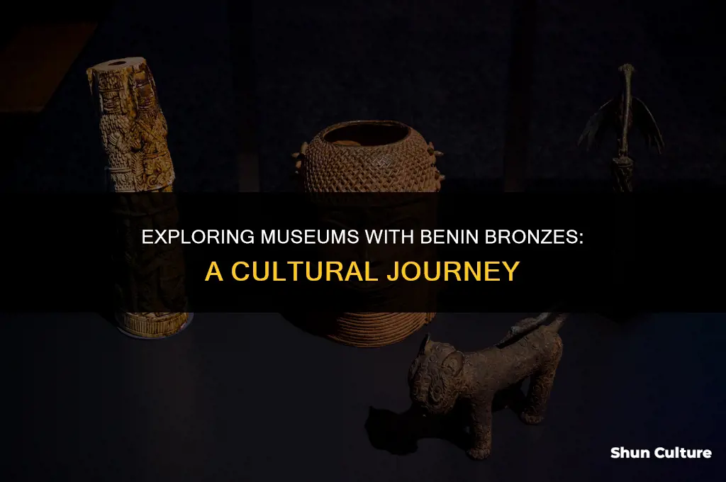 what museums have benin bronzes