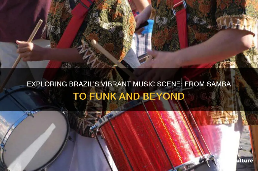 what music do people in brazil
