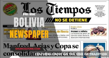 Bolivia's Pressing Headlines: Naming the Country's Top Newspapers