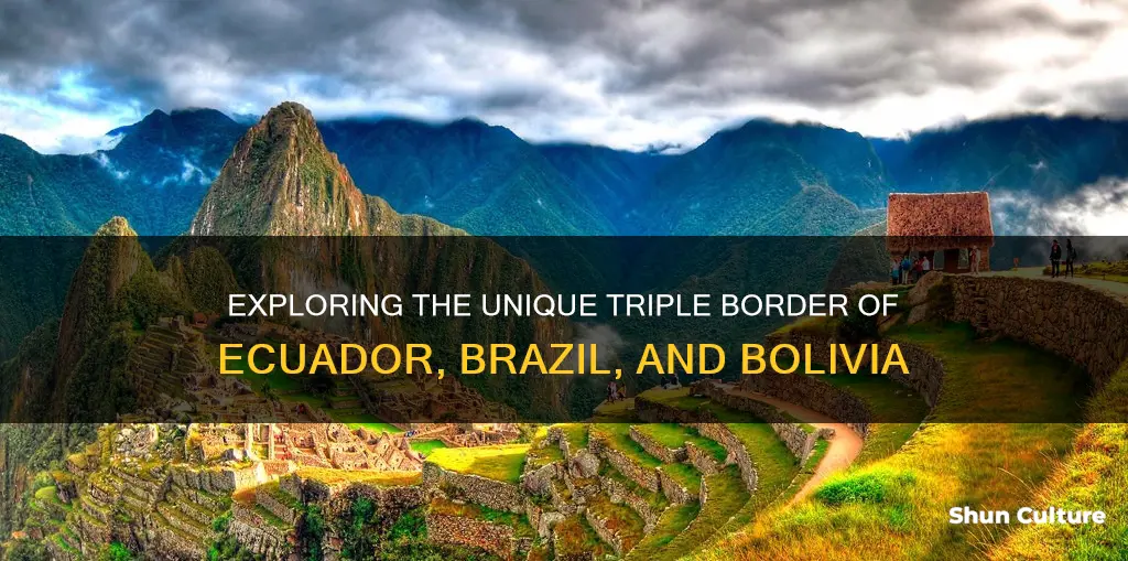 what nation is bordered by ecuador brazil and bolivia