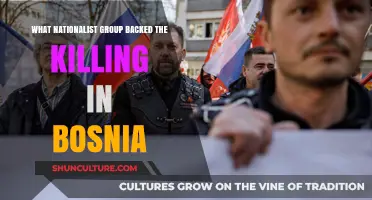 Serbian Nationalist Groups and the Bosnian Genocide: Uncovering the Truth