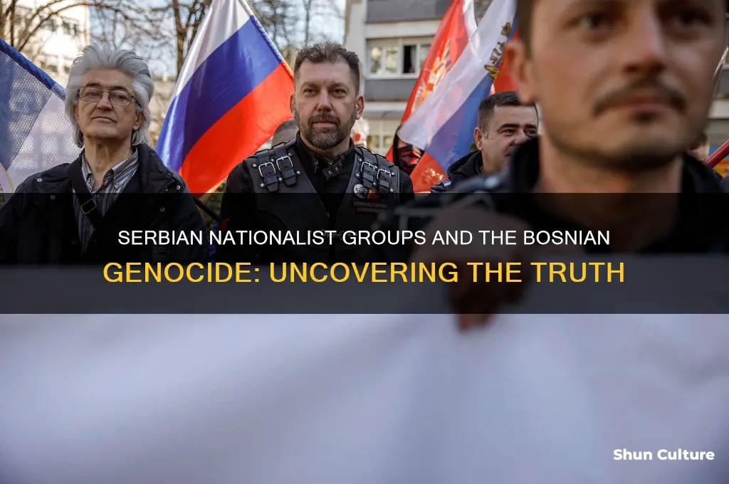 what nationalist group backed the killing in bosnia