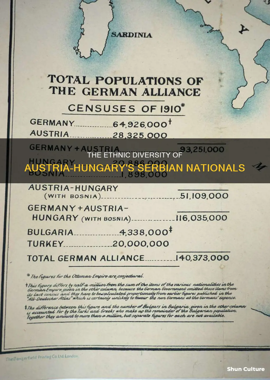 what nationalities made up austria serbians