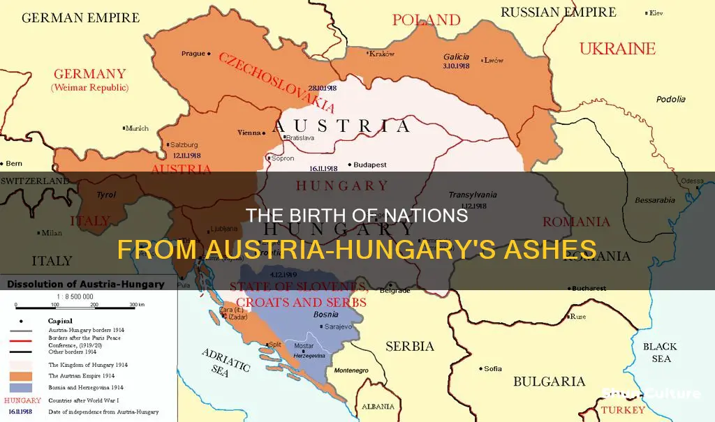 what nations were carved out of austria-hungary