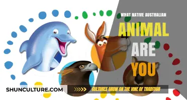 Discover Your Aussie Animal Spirit