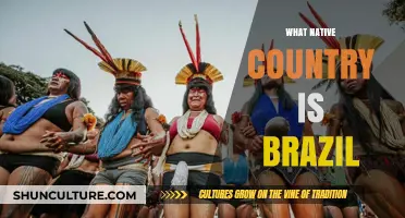 Exploring Brazil's Origins: Unveiling Its Native Country and Cultural Roots