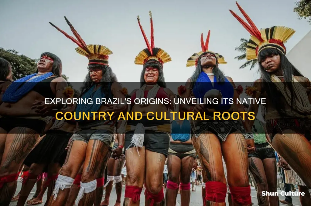 what native country is brazil