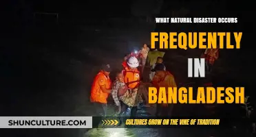Bangladesh's Recurring Natural Disaster: Floods and Cyclones Explained