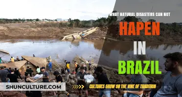 Brazil's Unique Geography: Natural Disasters That Can't Strike Here