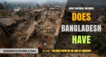 Bangladesh's Natural Hazards: Floods, Cyclones, and Landslides Explained