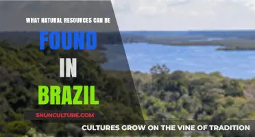 Brazil's Bounty: Exploring the Rich Natural Resources of the Amazon