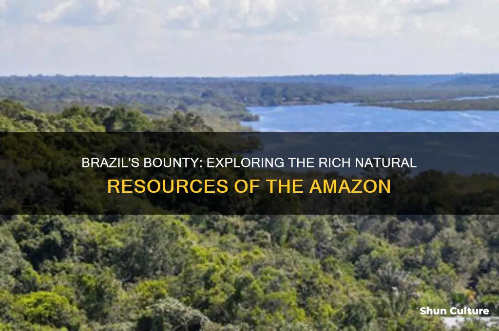 what natural resources can be found in brazil