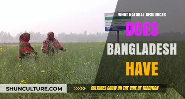 Exploring Bangladesh's Natural Wealth: Resources Shaping Its Economy and Future
