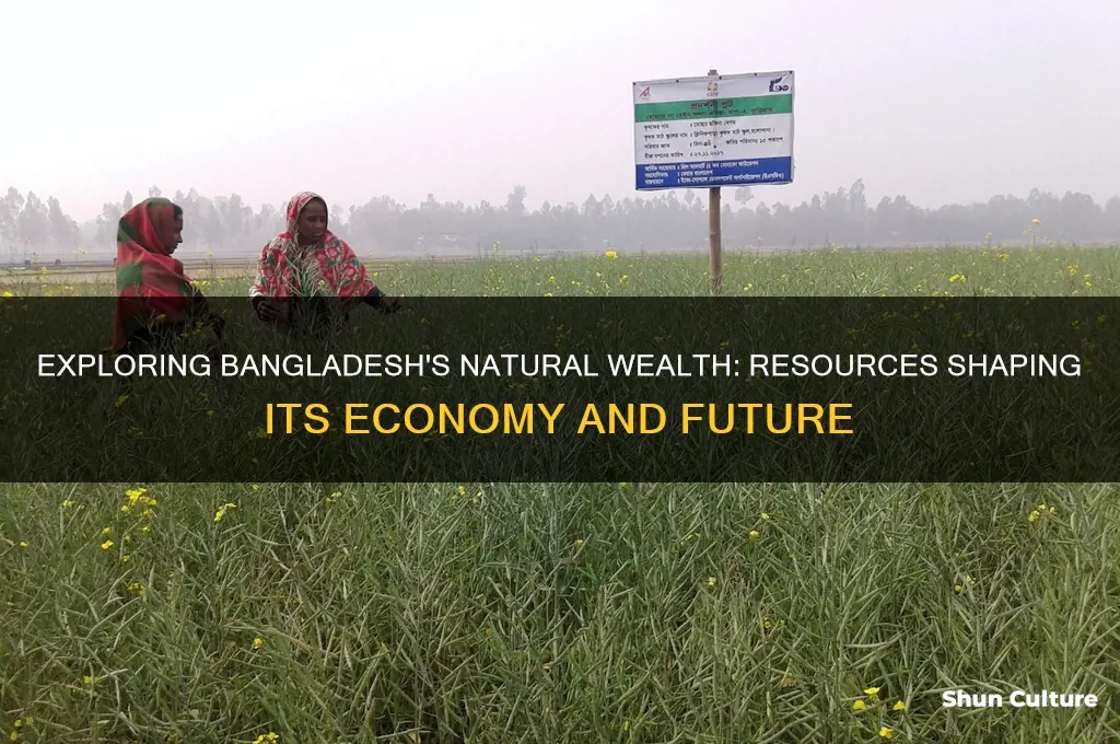 what natural resources does bangladesh have
