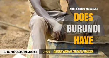 Burundi's Natural Wealth: Exploring the Country's Diverse Resources