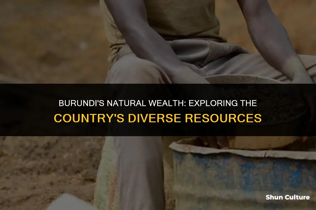 what natural resources does burundi have
