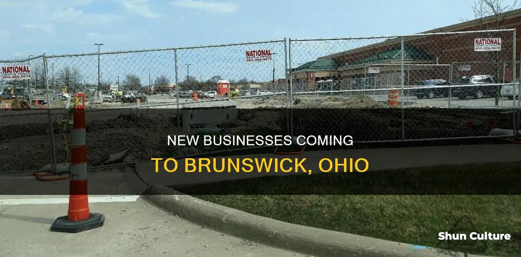 what new businesses are coming to brunswick ohio