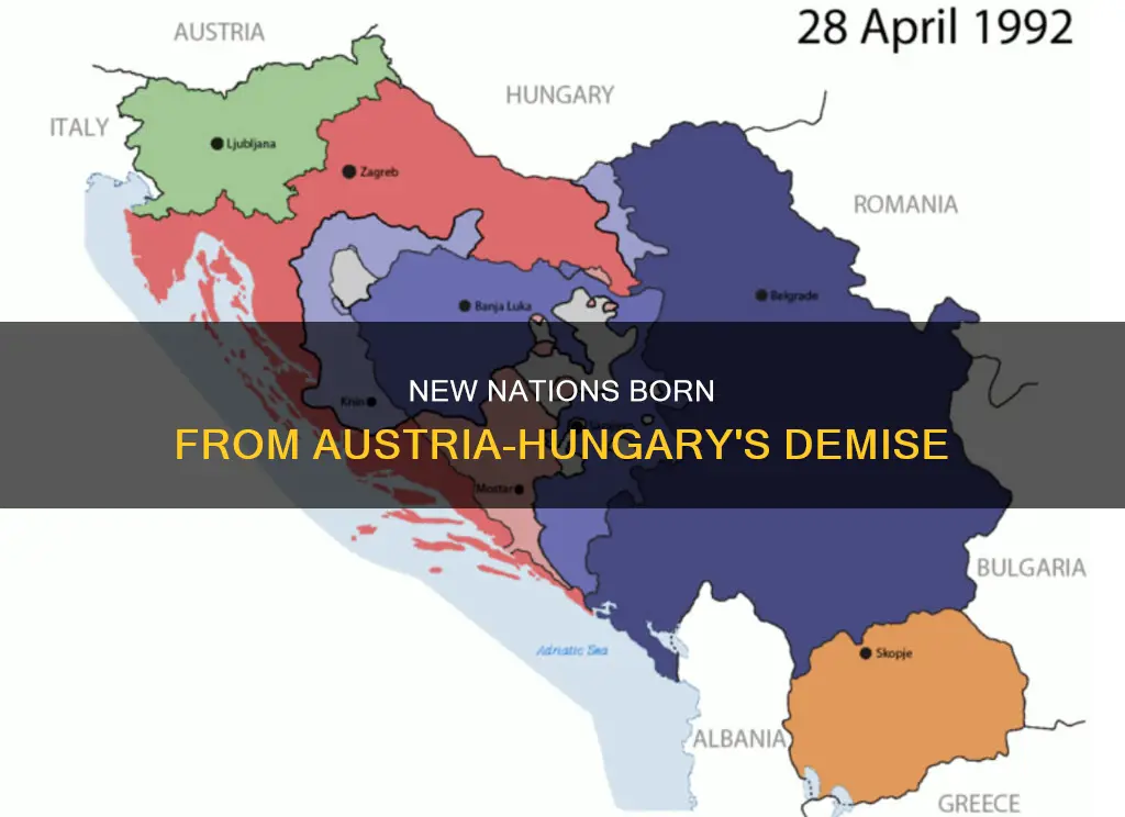 what new countries were formed from austria hungary