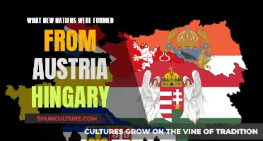 The Birth of New Nations: Austria-Hungary's Legacy