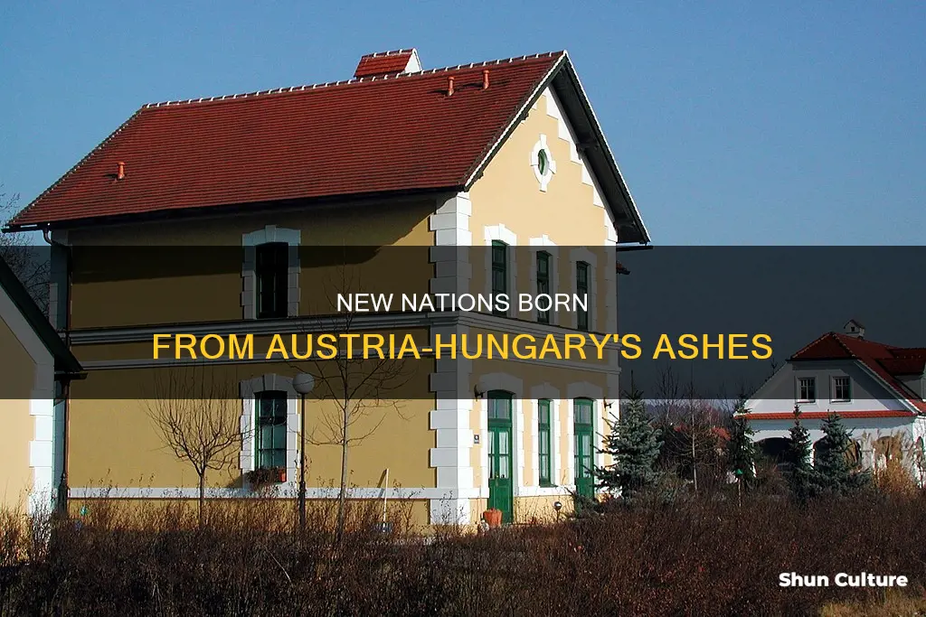 what new nations were formed from austria hingary