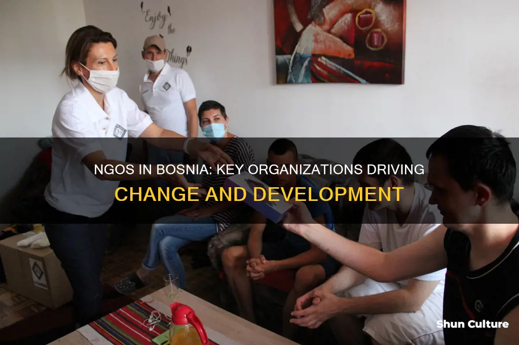 what ngos are working bosnia