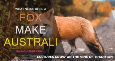 Fox Vocalizations: What Do They Sound Like in Australia?