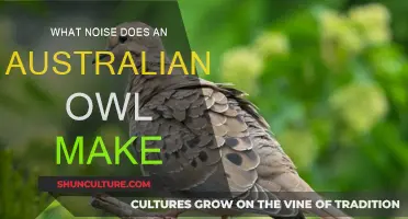 Australian Owls: Their Unique Calls and Sounds