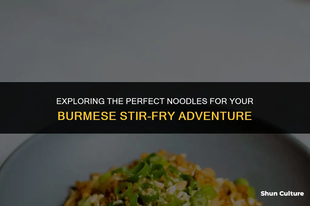 what noodles for burma stir fry