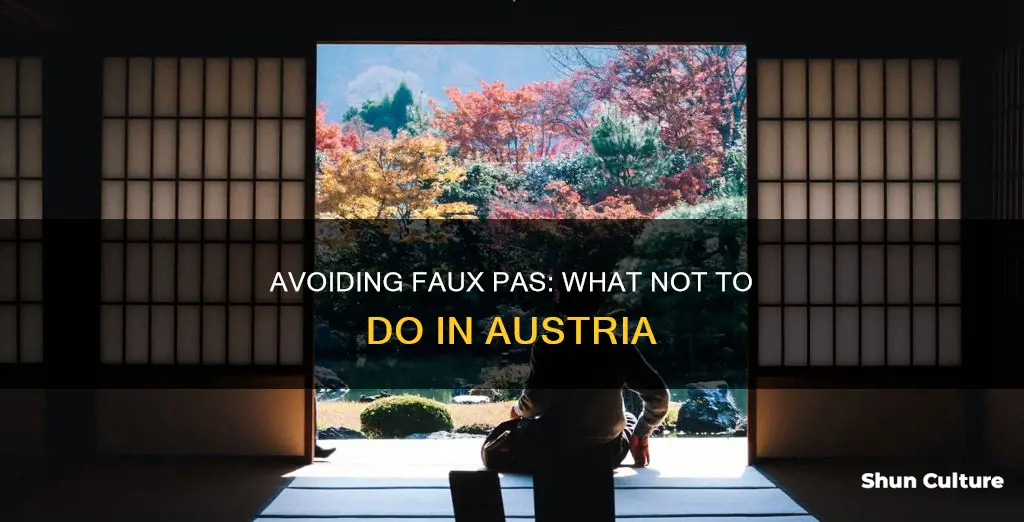 what not to do in austria