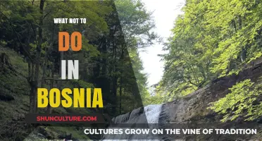 Avoiding Common Mistakes: What Not to Do in Bosnia