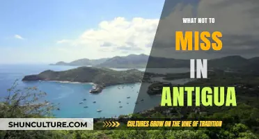 Discover Antigua's Must-See Attractions: Essential Experiences You Can't Afford to Miss