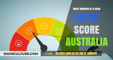 Credit Score Success: Understanding Australia's System