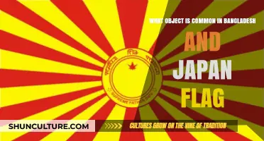 Shared Symbolism: The Striking Red Circle on Bangladesh and Japan's Flags