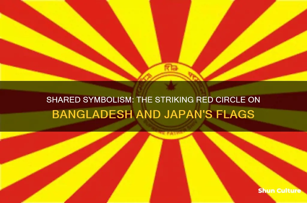 what object is common in bangladesh and japan flag