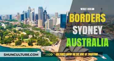 Discovering Sydney's Coastal Neighbor: The Ocean Bordering Australia's Iconic City