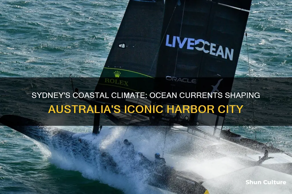 what ocean currents affect sydney australia