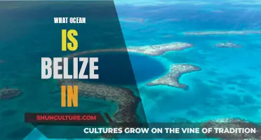 Belize's Ocean Paradise