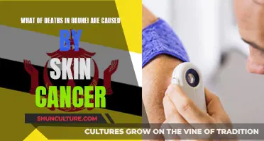 Skin Cancer's Deadly Toll in Brunei